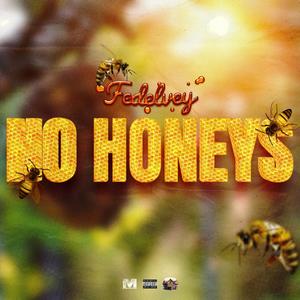 No Honeys (Explicit)