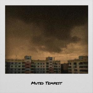 Muted Tempest
