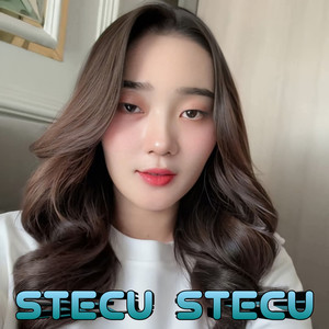 Stecu Stecu
