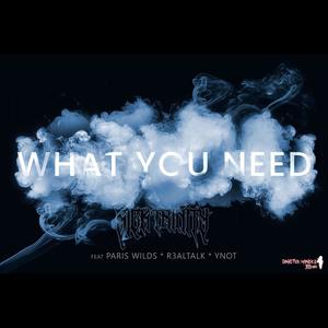 WHAT YOU NEED (feat. EZ SIXOSIX, PARIS WILDS, R3ALTALK & YNOT) [Explicit]