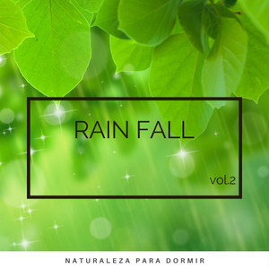 1 Rain Fall vol. 2