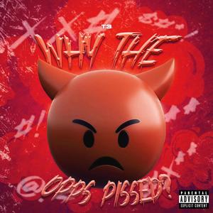 Why The Opps Pissed? (Explicit)