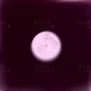 Gravity XL - Hidden Connection