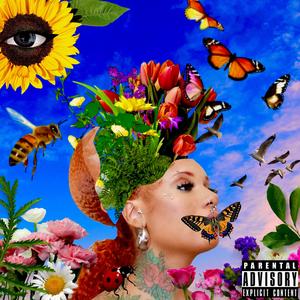 Understand (Explicit)