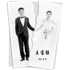 王宝强