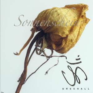 Sonnenschein (Explicit)