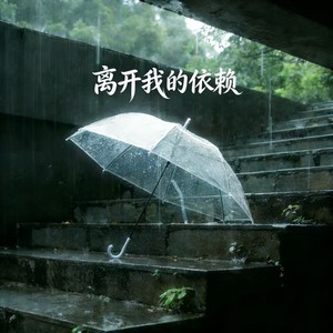 离开我的依赖 (DJ版)