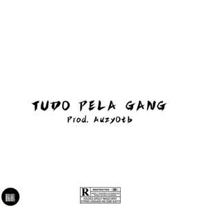 TudoPelaGang