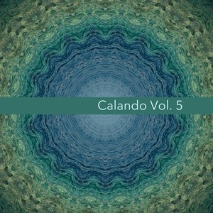 Calando - Musica Elettronica, Vol. 5