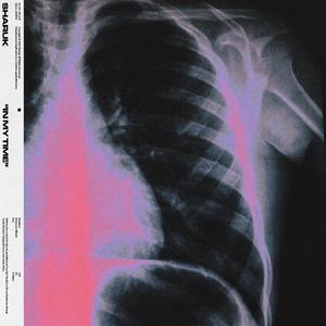IN MY TIME (Explicit)