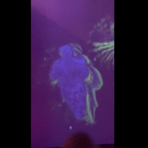 I should have stayed in Lake Charles