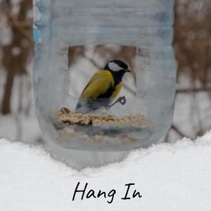 Hang In