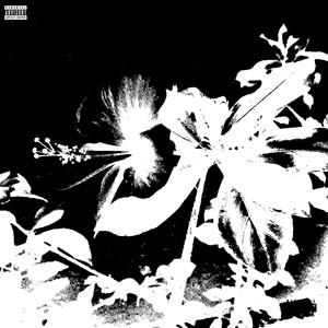 High Class ***** (Explicit)