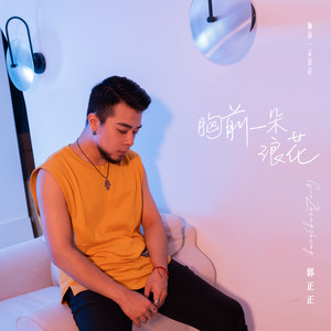 胸前一朵浪花 (DJ默涵版)