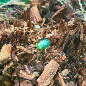 Jamison Isaak - Watching Clouds