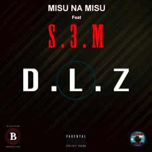 DLZ (feat. S3m) [Explicit]