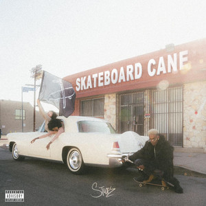 Skateboard Cane?