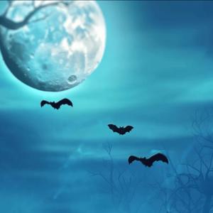 Solitude (The Blueprint) (Explicit)