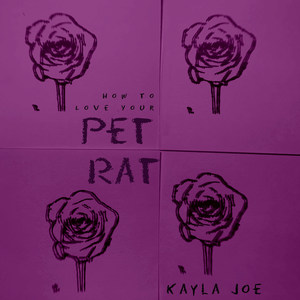 How to Love Your Pet Rat