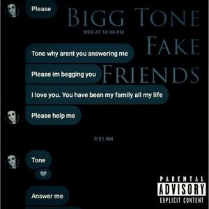 Fake Friends (Explicit)