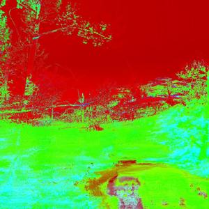 CHERRY LIPGLOSS (Explicit)