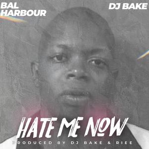 Hate Me Now (feat. Bal Harbour) [Explicit]