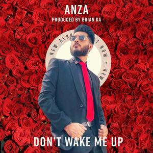 Don't Wake Me Up (Explicit)