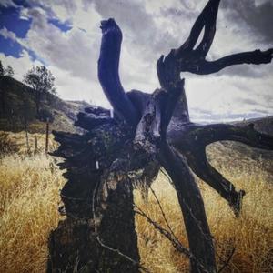 Gallows (feat. Laker & Shed Theory) (Explicit)