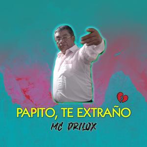 Papito, Te Extraño