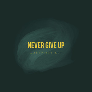 NEVER GIVE UP