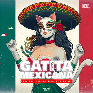 Gatita Mexicana (feat. Fer Renxi & Pleand Producer) (Remix|Explicit)