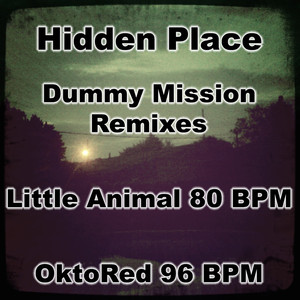 Hidden Place (Dummy Mission Remix OktoRed Mix)