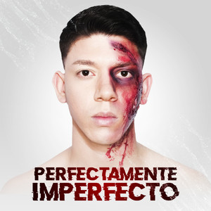 Perfectamente Imperfecto