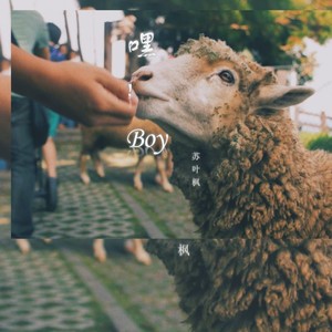 嘿boy