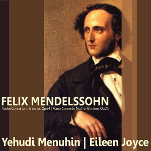 Violin Concerto in E Minor, Op. 64 - I. Allegro molto appassionato