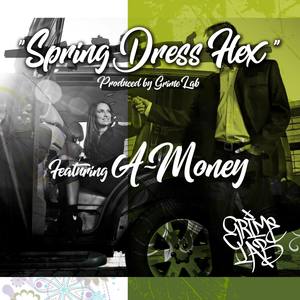 Spring Dress Flex (feat. A-Money)