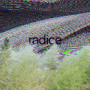 Radice (Explicit)
