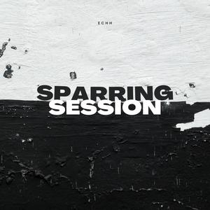 Sparring Session (Explicit)