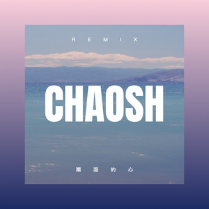 为爱流泪的女人 (DJ版)