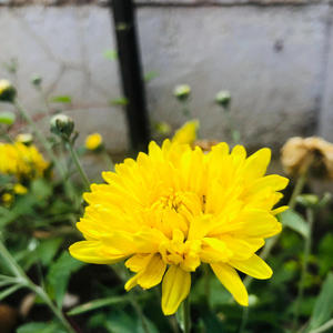 rendezvous (come thru)