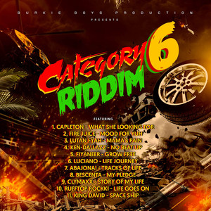 Category 6 Riddim