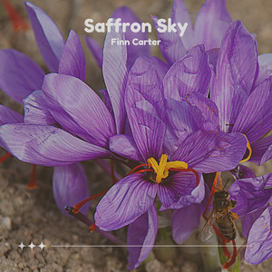 Saffron Sky
