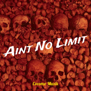 Aint No Limit (Explicit)
