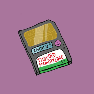 Thatoldmemorycard