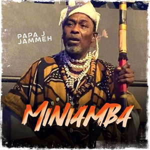 Miniamba A