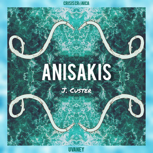 Anisakis (Explicit)