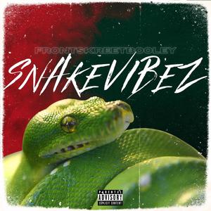 Snake Vibez (Explicit)