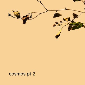 cosmos pt.2