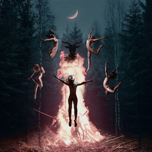 Don't Go into the Forest