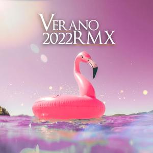 VERANO 2022 (feat. THE LA PLANTA, BRANDY LOVE, IVAN FITT, DANI CEJAS, DJ LAUUH & LEAN ON THE BEATS) (REMIX OFICIAL)
